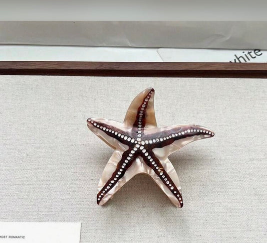 Pince Étoile De Mer Marron